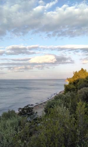 Elia By The Sea