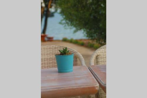 Pefkonas Apartments 100 M From The Beach