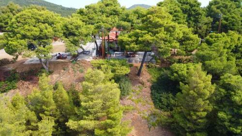 Pefkonas Apartments 100 M From The Beach