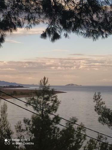 Pefkonas Apartments 100 M From The Beach