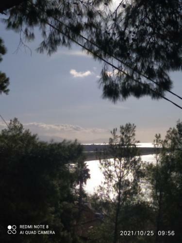 Pefkonas Apartments 100 M From The Beach