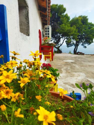 Pefkonas Apartments 100 M From The Beach