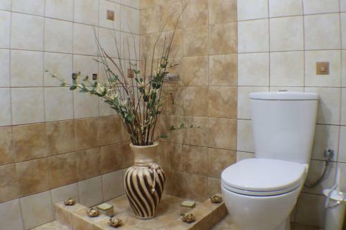 Villa Aelia Home