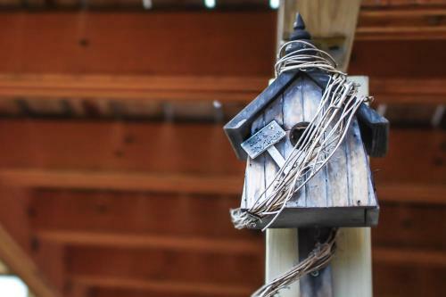 Hostal Colours' Chalet