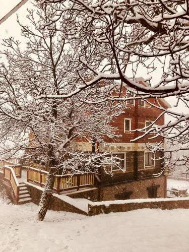 Hostal Colours' Chalet