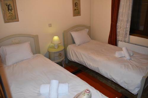 Trikala's Panoramic View Villa
