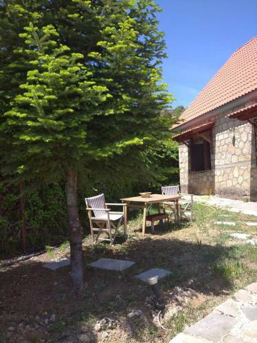 Villa Magnolia