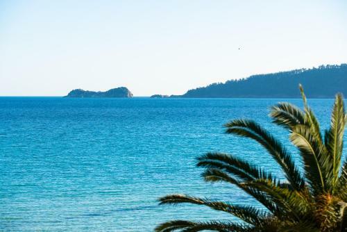 Apartamento Golden Breeze