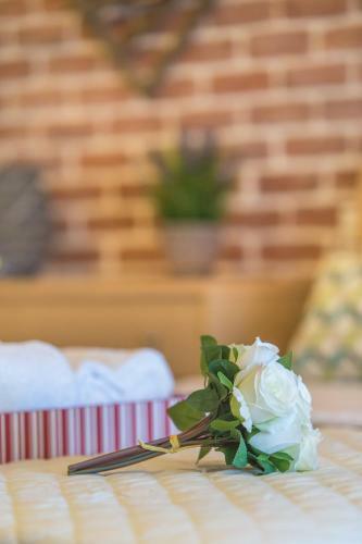 Apartamento Golden Beachside Terrace