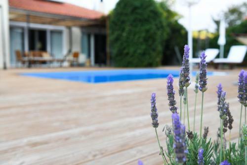 Serenity Luxury Villa, Skiathos