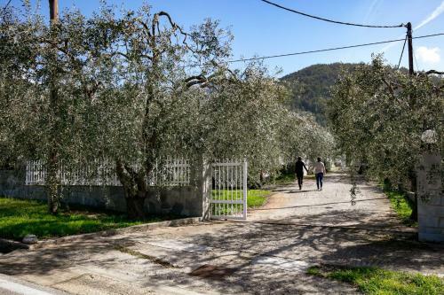 Olive & Mare Apartments