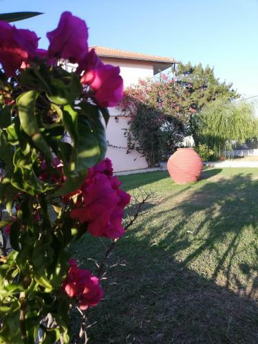 Apartamento Anestis Studio