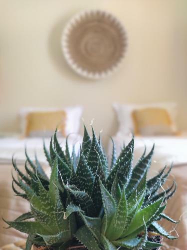 Apartamento Sole Verde