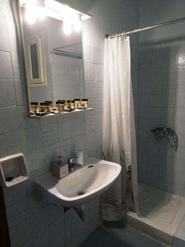 Apartamento Alcyon Days