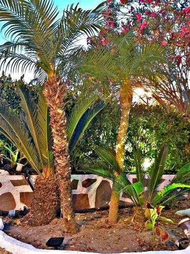 Nicole Luxury Villas