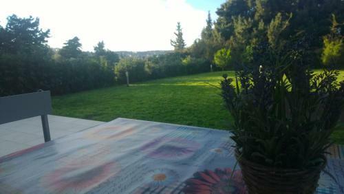 Apartamento Dimitra's House