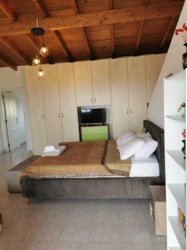 Artemis Luxury Villa