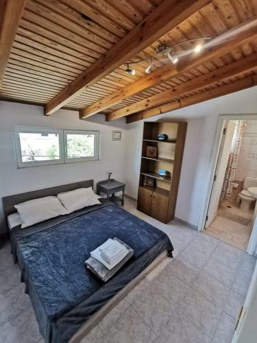 Artemis Luxury Villa