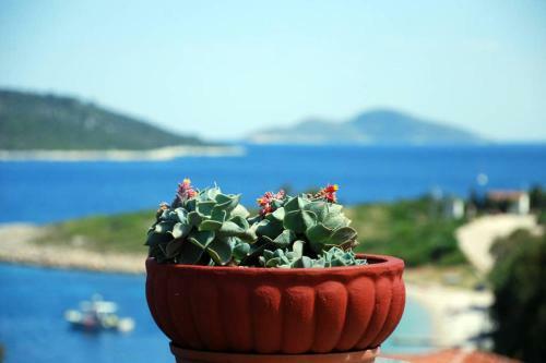 Vila Elena 2 Astoning View