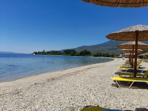 Stellina's Pelion House
