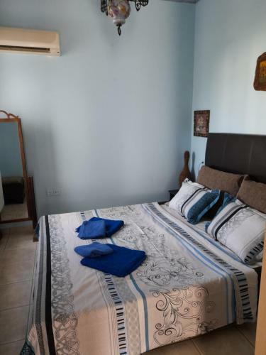 Stellina's Pelion House