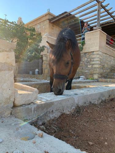 Titans Sea Cabin With Private Beach - Karpathos Island