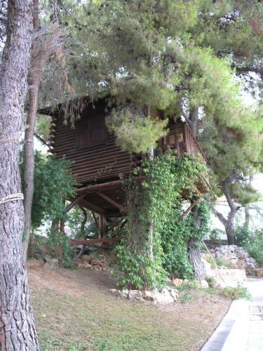 The House Of Gratitude
