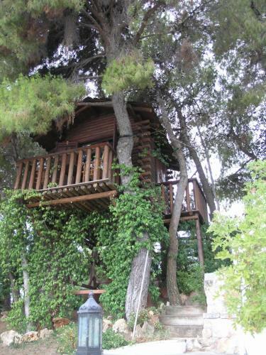 The House Of Gratitude