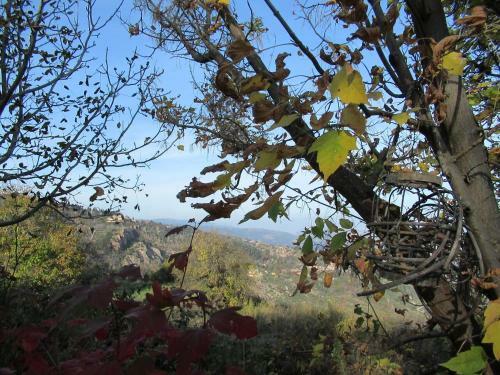 Apartamento Oniron Katafigio