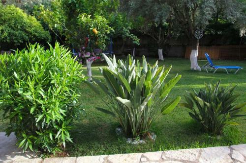Villa Dimitra Nikiana