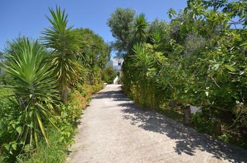 Villa Dina Chalikounas Corfu