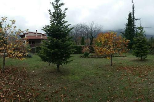 Villa Elegance In The Nature