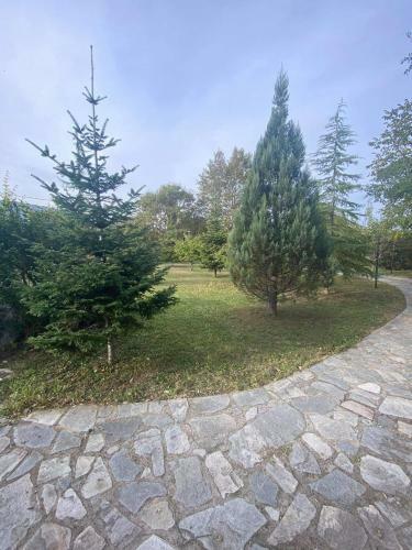 Villa Elegance In The Nature