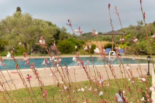 Villa Adonis