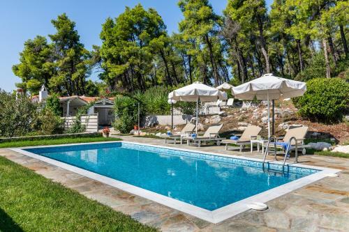 Villa Pine Trees By Kardous