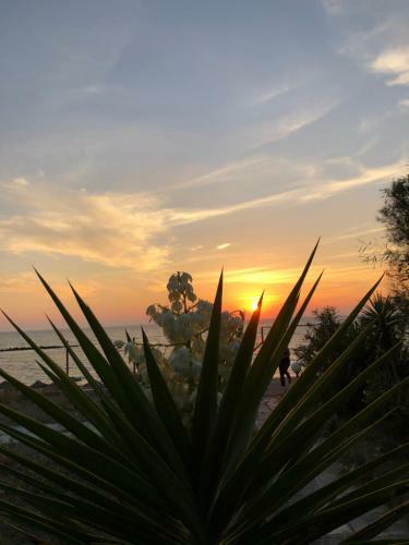 Petrochori Beach House