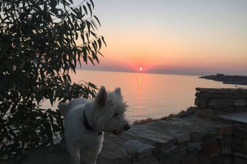 Sunset Villa With Swimming Pool Tzia