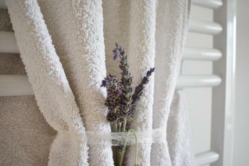 Country Villa Elaia