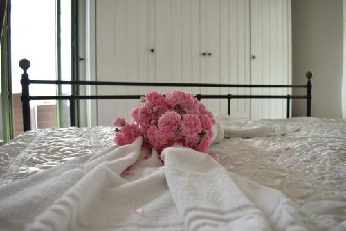 Country Villa Elaia