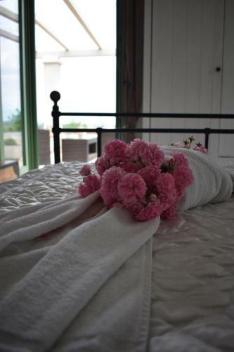 Country Villa Elaia