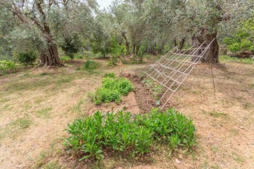Mikro Peaceful House