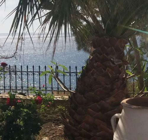 Apartamento Sun Day Villa