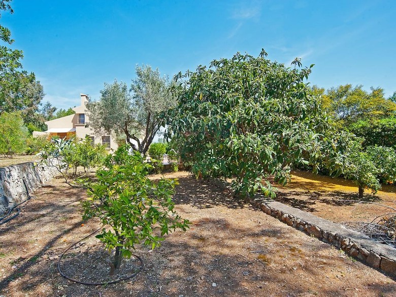 Holiday Home Tarraula 65