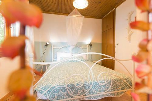 #flh - Barefoot Beachfront Bungalows