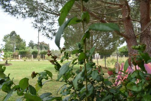 Agroturismo Konaki Guesthouse