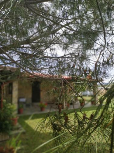 Agroturismo Konaki Guesthouse