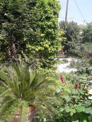 Garden House In Corfu