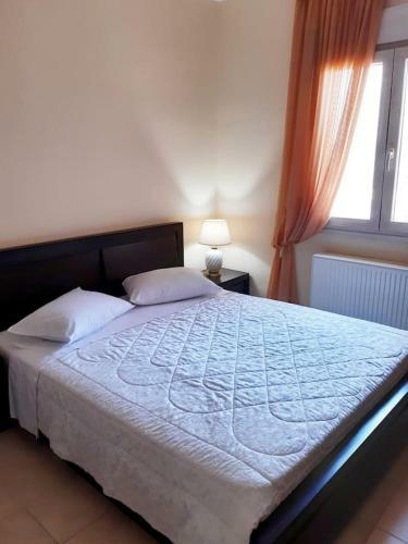 Kanoni Cozy Apartment