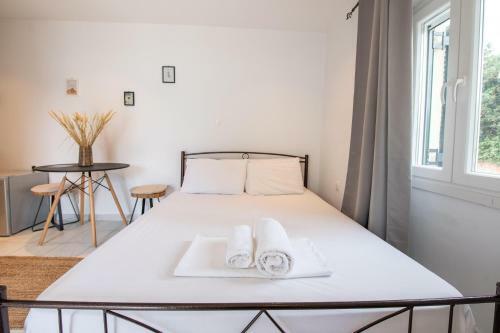 Apartamento Kanoni Garden Studio