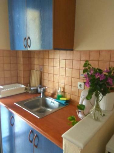 Velika Seaside Apartment